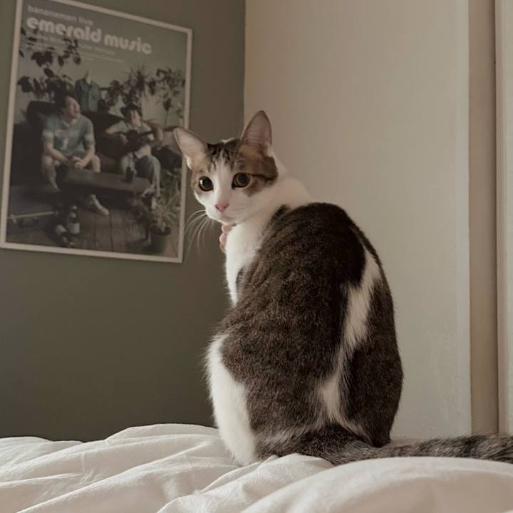 526cb3da fedc 4f3c 89b5 43fd7cfa08ef 1773094765226