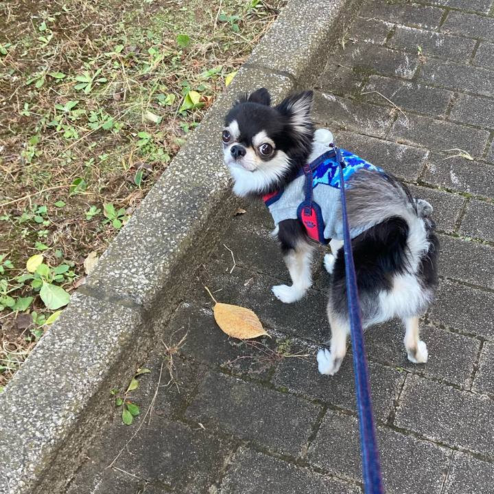 526cd073 d383 485b 9637 3e1c5f290c61 1697987312659