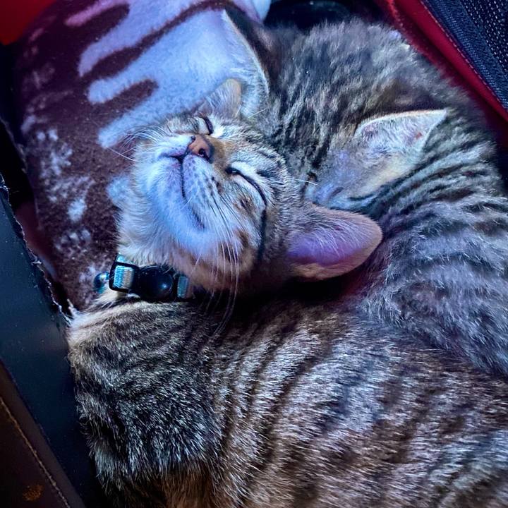 526cd661 c52b 4973 b65a fde92ef32c35 1638313595024