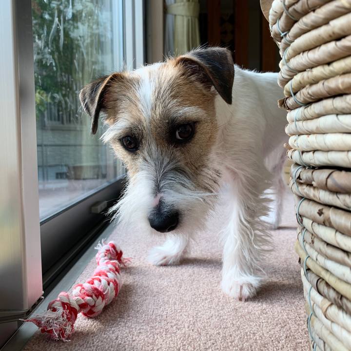 526d2ee4 af2d 463a 88d1 6fd1ff9fa278 1579238984360