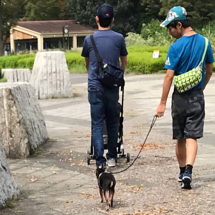 526da397 6ac3 44d2 8cec ae3f20667684 1568515566029