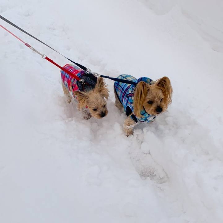 526dc93c ae62 40dd 9ff1 56770523eedd 1607073944431