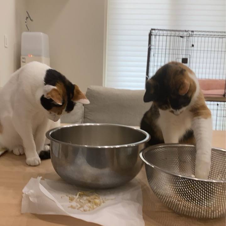 526de276 8928 48a4 a1eb 3a5e84527108 1774247913894