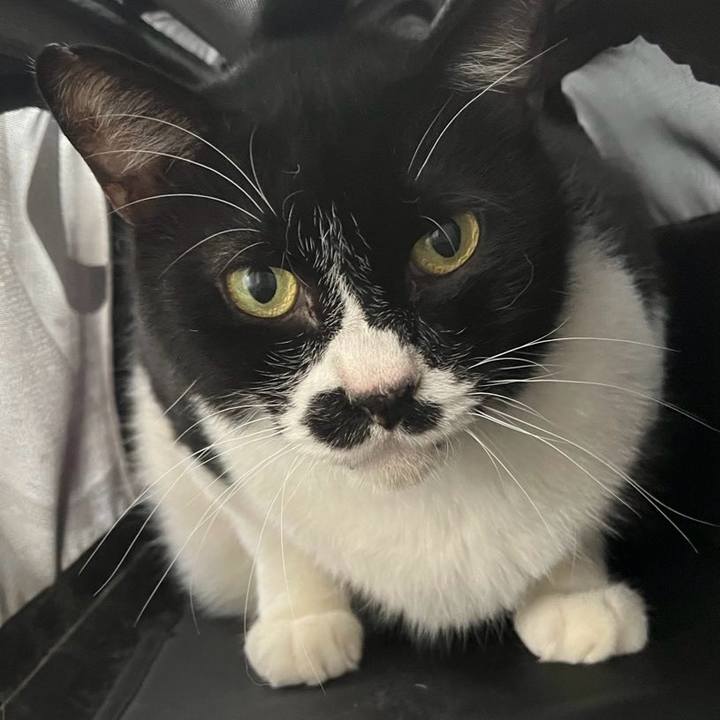 526de7e6 950f 41a2 a968 fdd96cc4432c 1760952162273