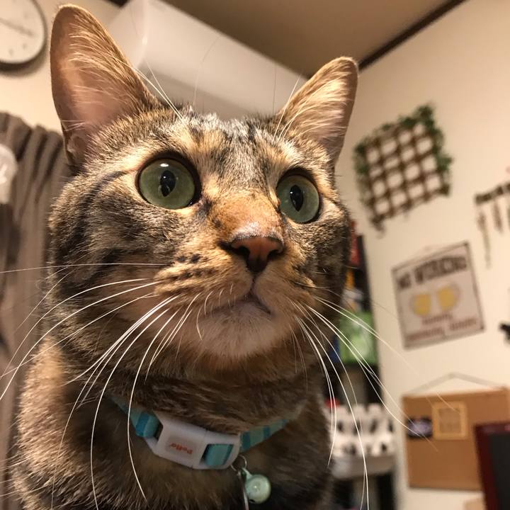 526e50fe 5613 4783 89c6 a3be8edafc6a 1540647566924