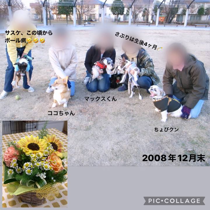 526e66a0 ab78 49e9 b749 5cdfa69a969c 1655261336156