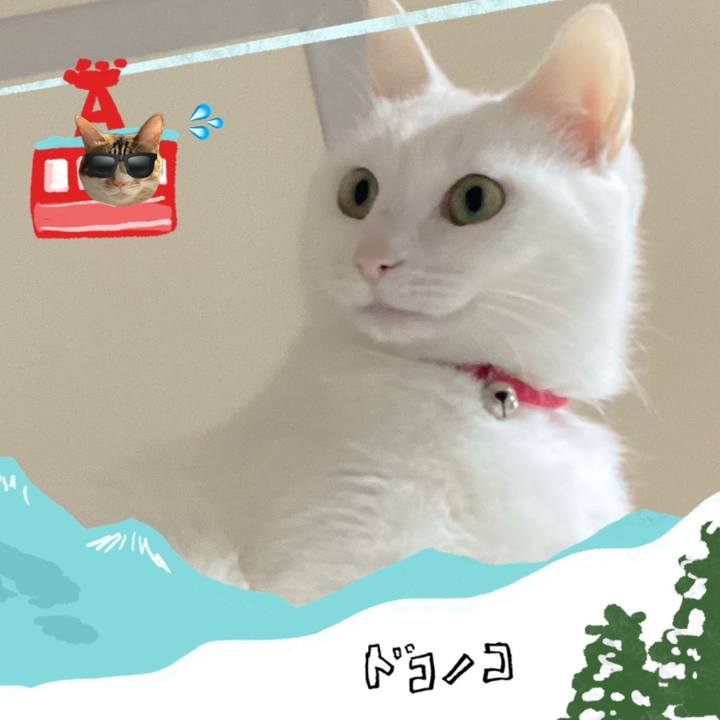 526e8229 ad24 421d 8c1e 01be70122aef 1706762301369