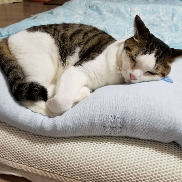 526e8644 ccae 4bf9 8c80 80601b0bbb8e 1601643943507