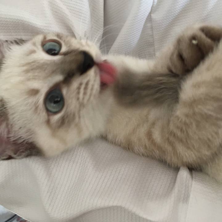 526f3848 5894 450e 8368 7c015f9e1401 1535327584751