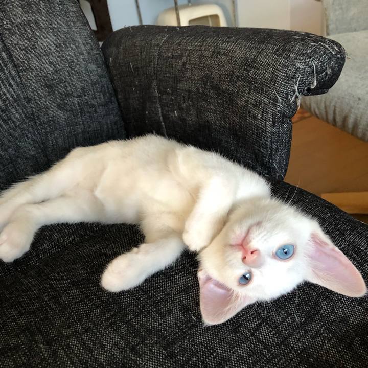 526f5b96 cd2e 42f0 90c1 ce0dd55c694d 1533557023074