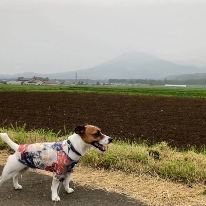 526f60d7 5c29 4718 85c3 cbb30cc43cdd 1596880029710