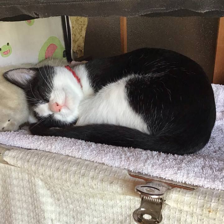 526f8718 cc48 43b0 b1e9 3de32d02b966 1627773736175