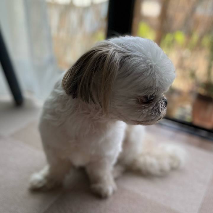 526fac2d b5ea 4464 84fe 5f5d6ffd186c 1651974374186