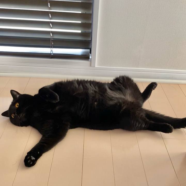 526fbc0e 14cf 428f a35a 066d98835c62 1629688381519