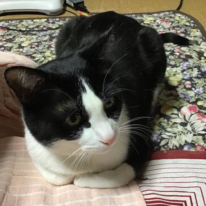 526fdf55 7434 4e35 a29d 67066ad2f335 1681821818719