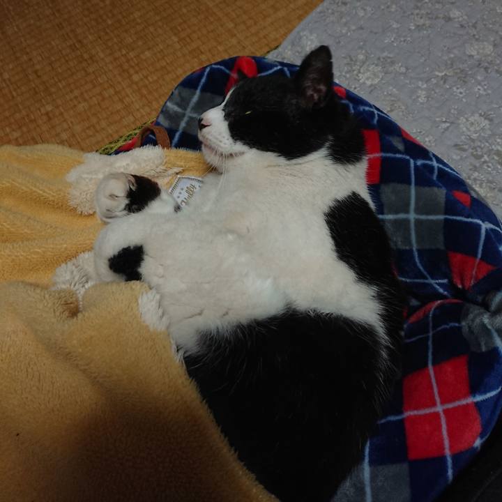 526fea83 652c 463c 9e45 62a6aca92403 1676030981887