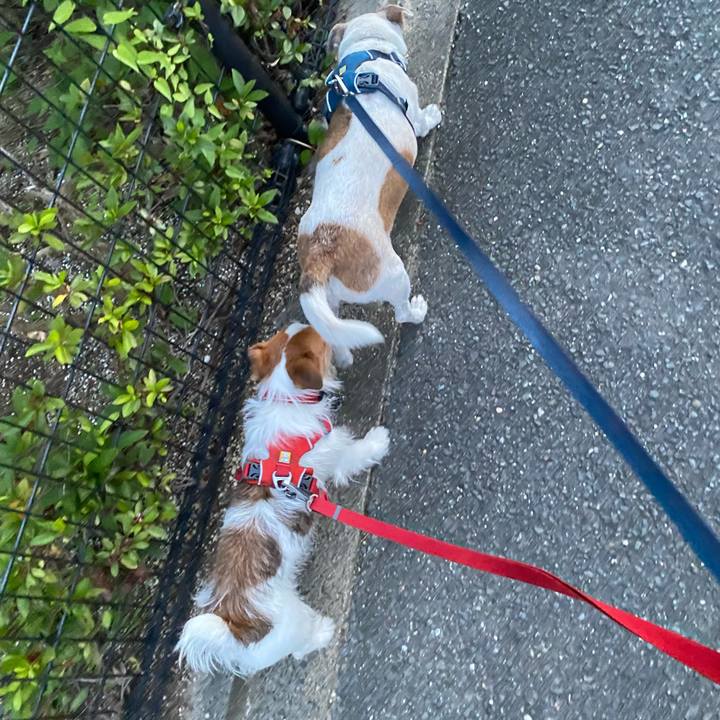 526ff8ad cd19 4e26 91d5 07e70fda056c 1658579061824