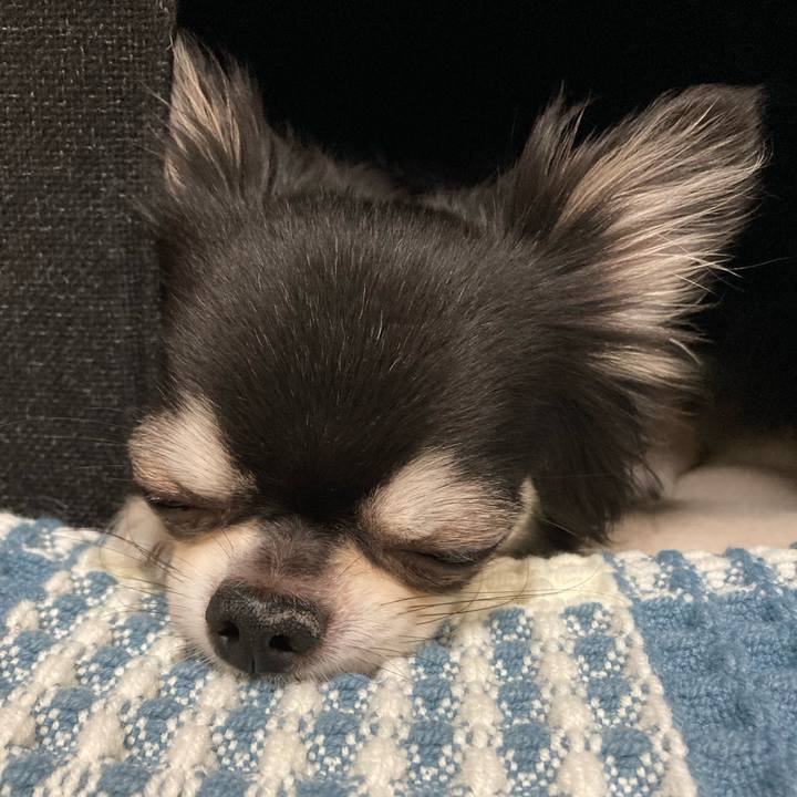 526ffdce d15a 4c6b 8b43 0ea487b1f9e4 1661611451766