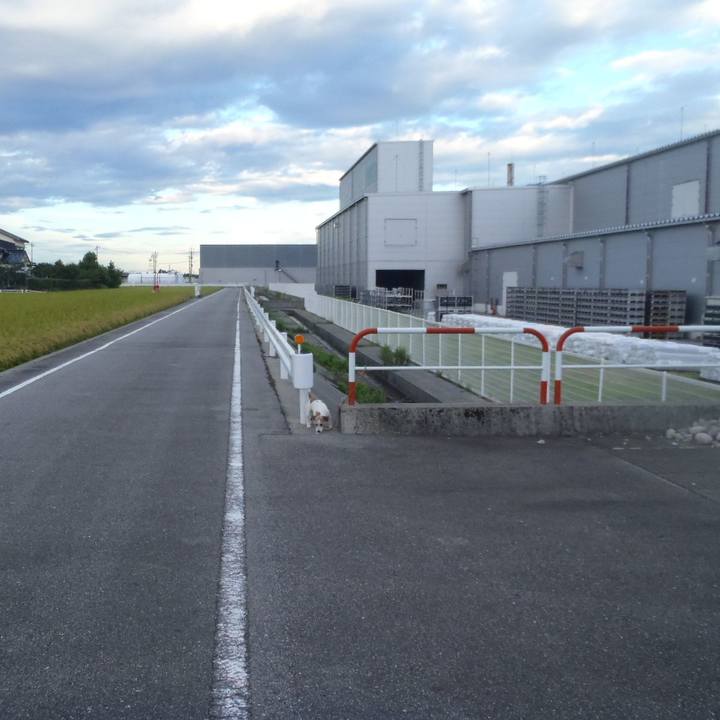 52700061 b804 4b9c 8322 8d04f5330e7f 1536662718546