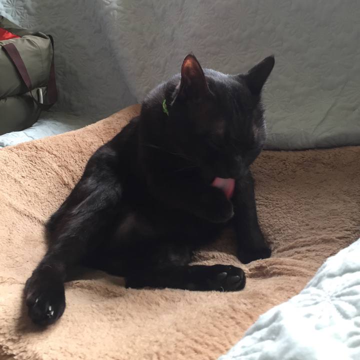 5270095c 4344 4f42 9373 8942ea4449e5 1524821951556