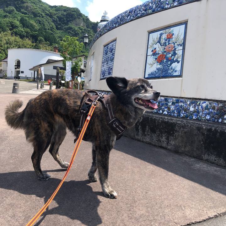 5270274a ea86 44d5 b340 1d3f9c52c857 1628644508036