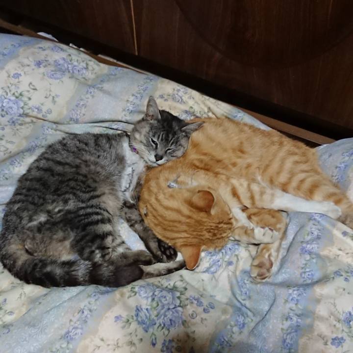 527035a1 a580 45d2 b8bc a244bacb9979 1589199723697