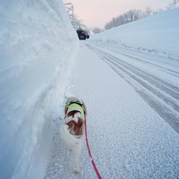 527055e8 5acc 4666 b91b 1355065b77a9 1612413932344