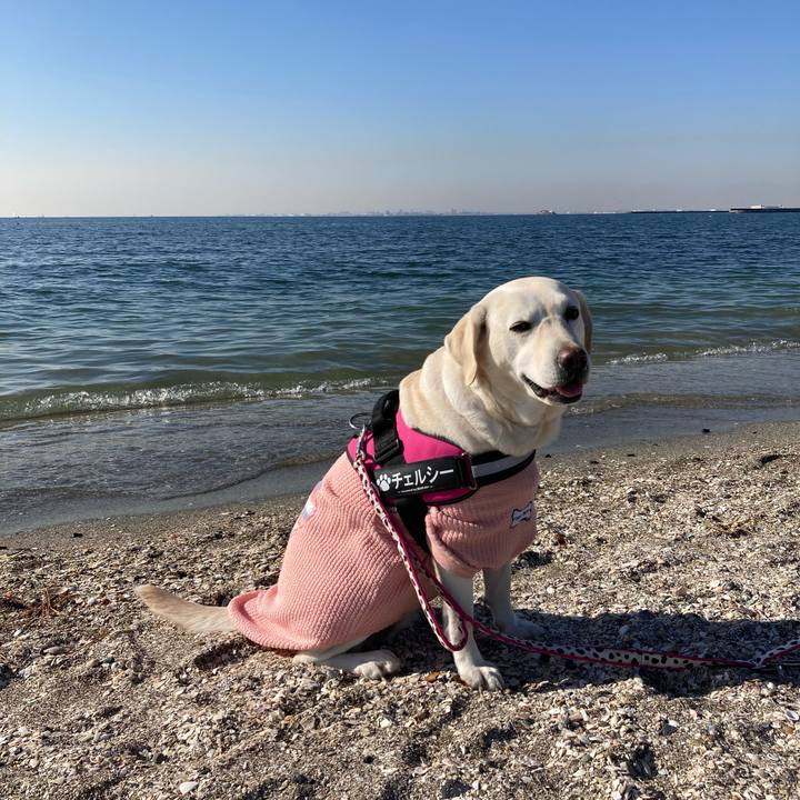 52706dc8 2dbc 4292 970b ecb1ced672dc 1704545186001