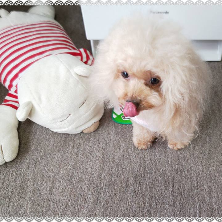 52706ec7 ebdb 4f6f b10d f0f3589d58ae 1580212246174