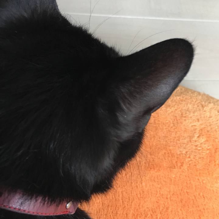 52707696 3859 4db3 bd7b 9bd5c903f6d6 1529331583912