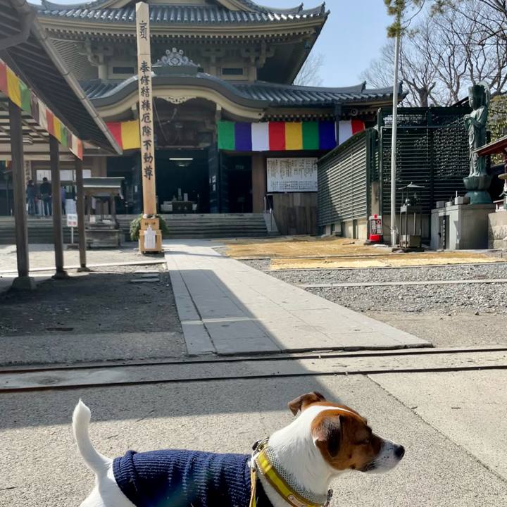 52707fdd 2462 46a8 a929 e320f3abc75f 1648367503731