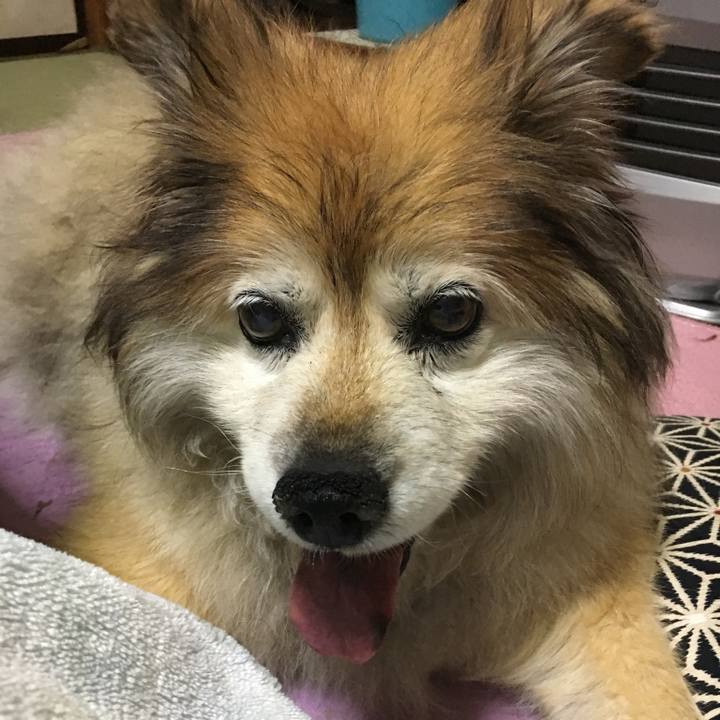 527080d7 a72b 4d5c 8969 f082cdb3e9a3 1570842479952