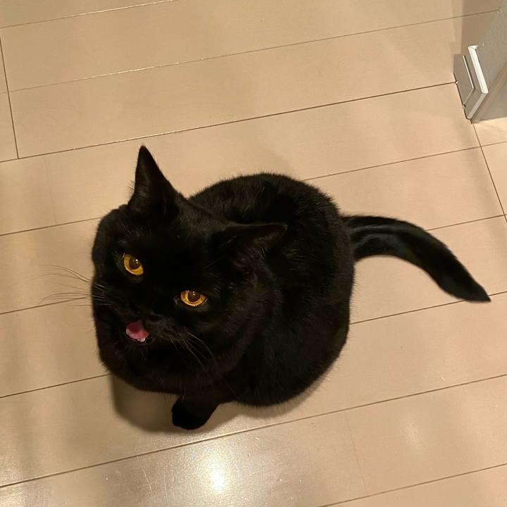 52709b3c f2e8 442a af18 7e4bcb03e53f 1680343681942