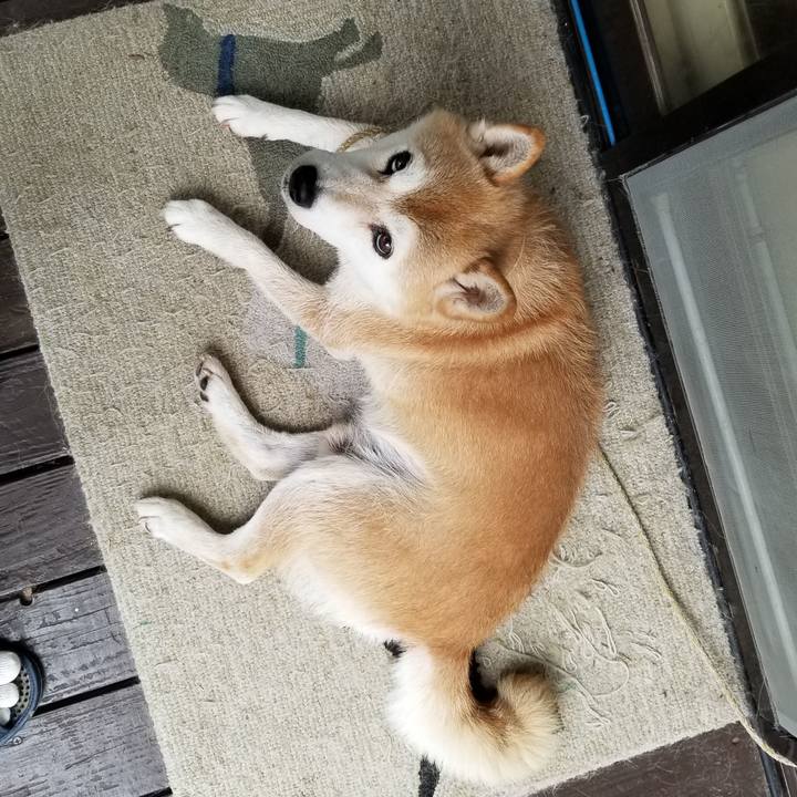 5270b41e 83bc 4ecb 8443 82ffd7971359 1595569127755