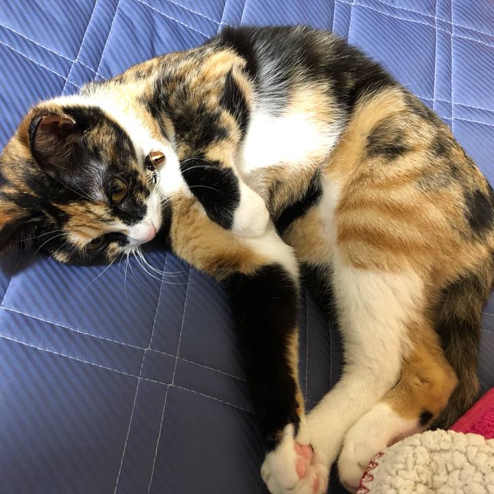 52711409 442f 4202 9b3f 5ab68a5f659b 1562058250545