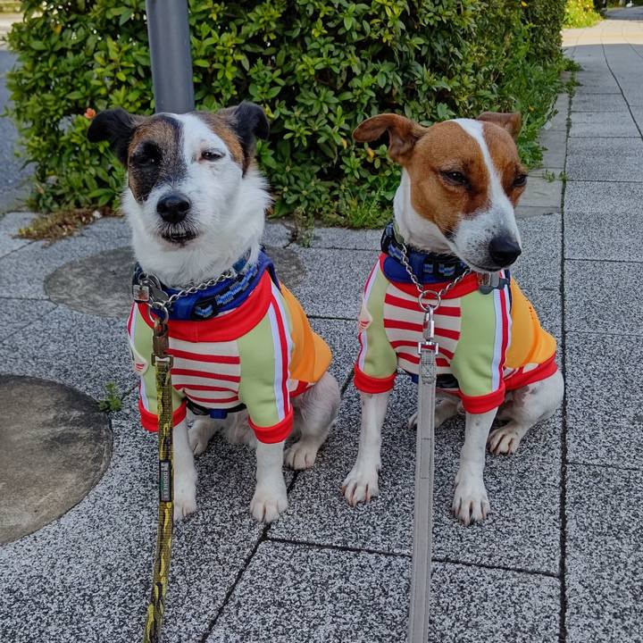 52714dbd 5c87 47e1 a47e d30d35e44553 1616543547515