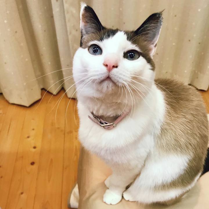 5271a767 c11d 44e0 8efb b68ded7f92af 1519994368066