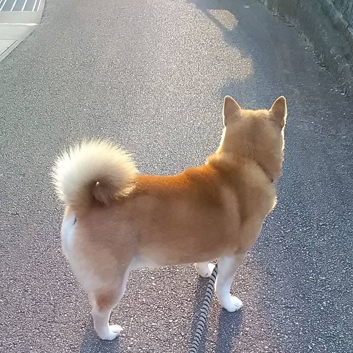 5271b749 2176 4baa aa26 c76d3c3800ea 1642239448077