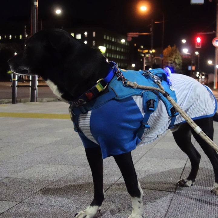 5271bb9b 2c00 40f5 9b96 ec84beef9876 1677583412203