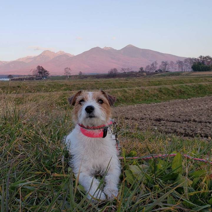 5271e200 c4bb 4a02 9b36 e872c5e1457d 1637393440940