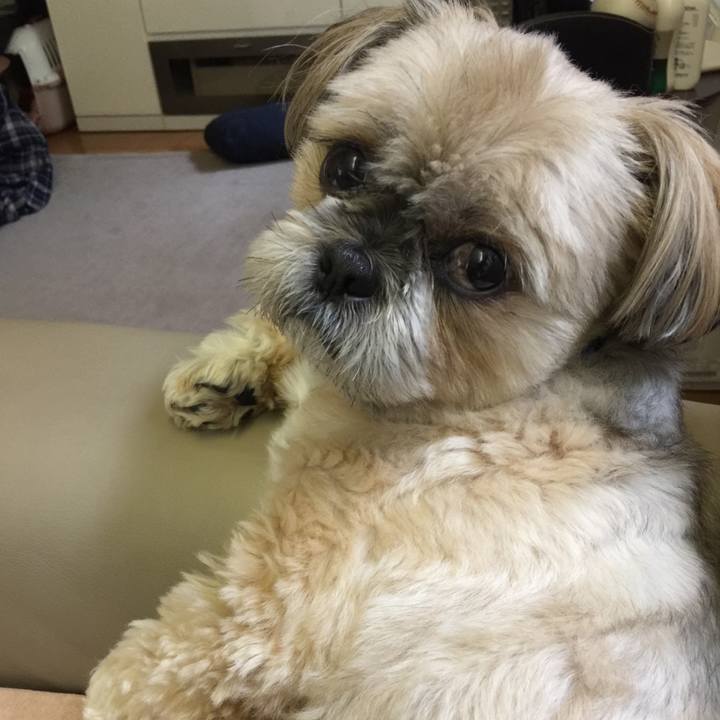 5271f932 bb37 4cf3 bc12 6329cb2370ee 1528712581976