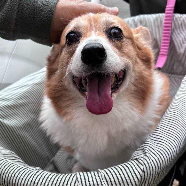 52721027 30a0 4e8f a76d 0ab51c6053e2 1742782472638