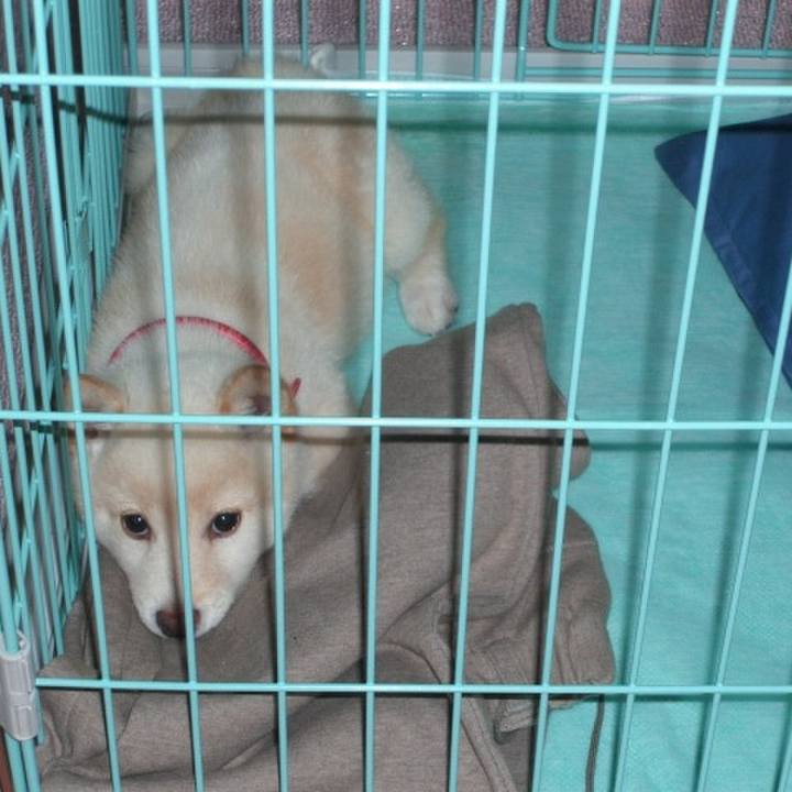 527211e1 d1bb 4467 aefb c8dfa9132c00 1676380739947