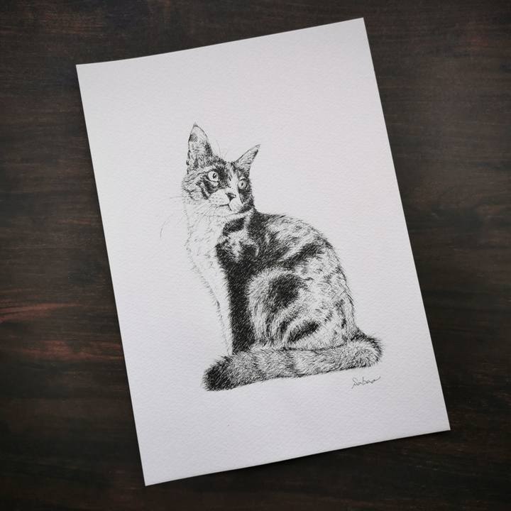 52725a45 ccec 4c69 bdeb 907f14f66a98 1675555580861