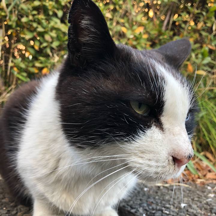 52727680 5b90 4f2f ba3d 999ff448da78 1547987841676