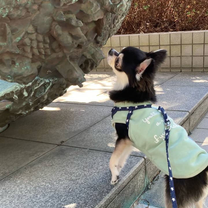 5272acc4 9471 4f9a 8f05 8afc359c3330 1645937355891