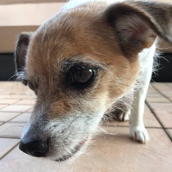 5272bb08 cd7b 4ed5 828e 9c6482bb36be 1564873211517