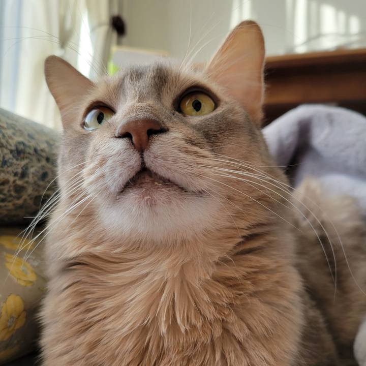 5272c19b 96e4 4526 888b 5a33939fdfb5 1641598421683