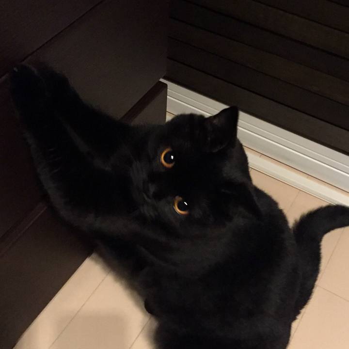 527341de cac8 4d8e 80ce e6ae87e3b059 1537449389420