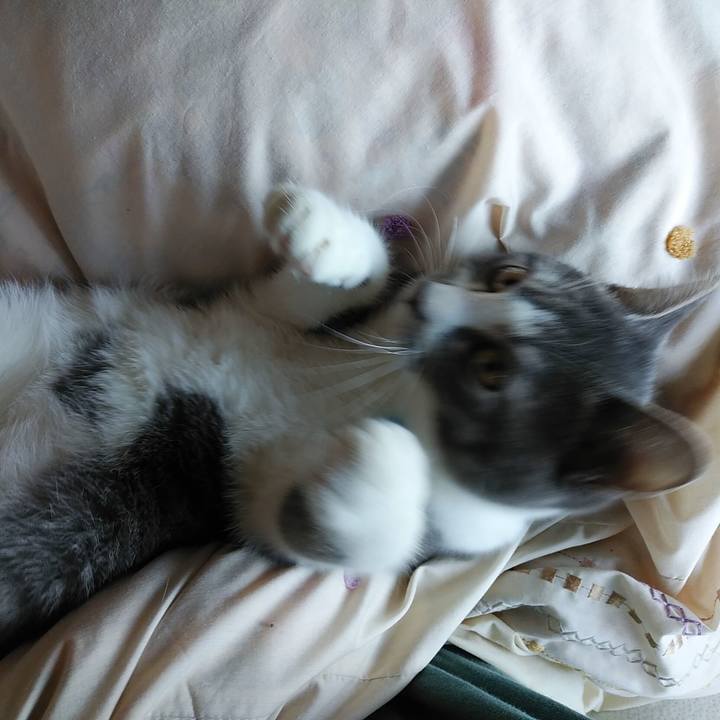 527361dc 18d3 4184 bf76 4516aa80bfa9 1576452551605